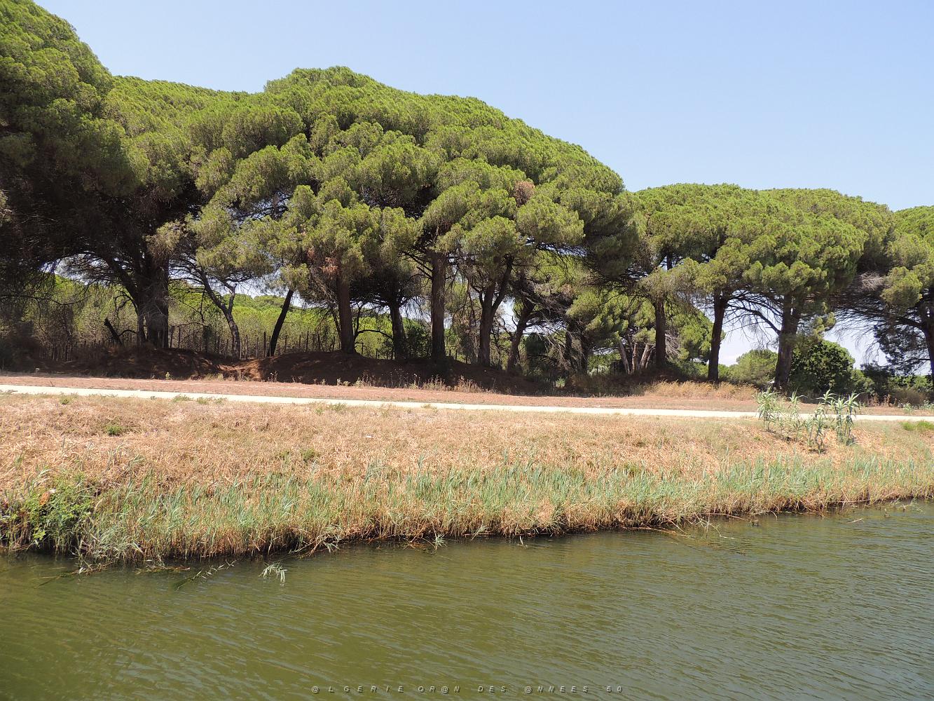 2022 07 UN AIR DE VACANCES 22 AIGUES MORTES (50).JPG -           